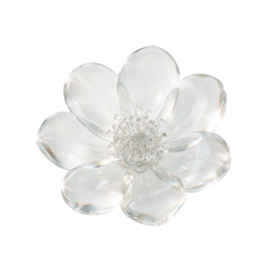 Soft form — study